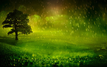 Rainy moments, Atmospheric beauty, rain , Mesmerizing droplets HD wallpaper