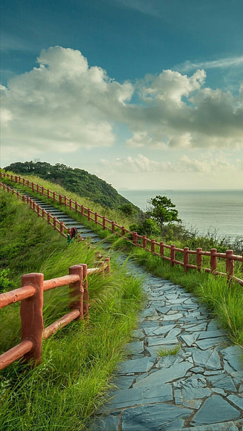 Pin di Nature, Nature Portrait HD phone wallpaper