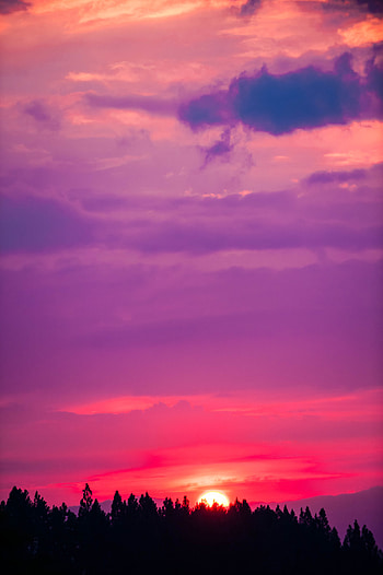 Nature, Trees, Sunset, Sky, Sun HD phone wallpaper