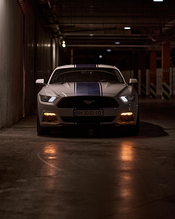 Sports, Mustang, Cars, Lights, Car, Front View, Sports Car, Headlights, Mustang Gt HD phone wallpaper