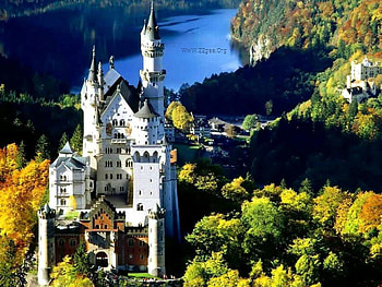 At field, nature, castle, lake, tree HD wallpaper