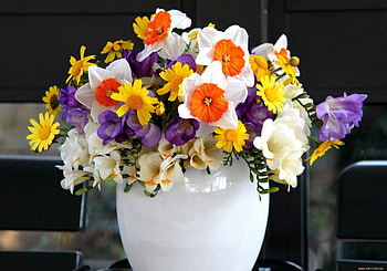 For Gemma, purple, vase, beautiful, flowers HD wallpaper