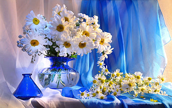 Flowers, Camomile, Registration, Typography, Bouquet, Vase HD wallpaper