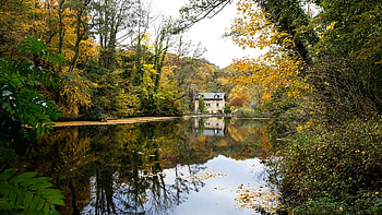 Watermill at the river, water, reflections, leaves, fall, autumn, trees, colors HD wallpaper