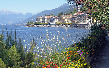 Building, , Scenic, Architecture, Flower, Lake, Mountain, Resort, Water HD wallpaper