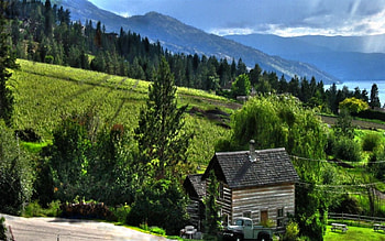 Farm Life, farm, life HD wallpaper