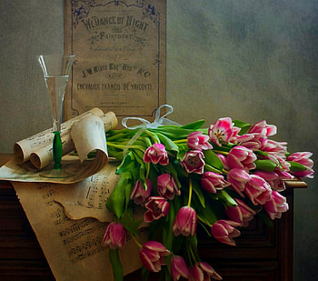 Still Life, tulip, musical notes, music, pink tulips, nature, flowers, tulips HD wallpaper