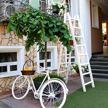 A stylish outdoor scene featuring a white bicycle, ladder, and lush greenery in a cozy setting. HD phone wallpaper