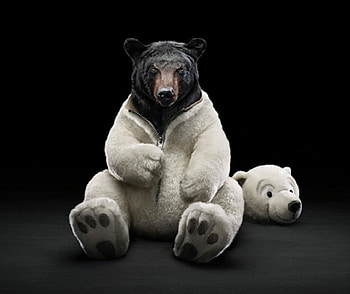 Great Disguise, white, black, advertising, nose, fur, sitting, fantasy, bear, ears HD wallpaper