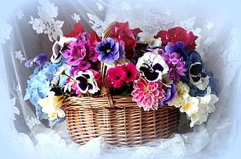 Flowers, Pansies, Registration, Typography, Cloth, Basket, Dahlia, Petunia HD wallpaper