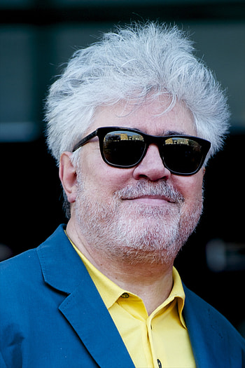 Pedro Almodovar, Silencio director, Next film title, Time HD phone wallpaper