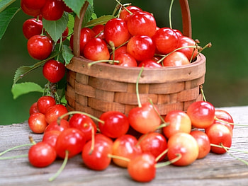 Fruits, Sweet Cherry, Food HD wallpaper