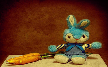 cute rabbit, carrot, cute, funnt, rabbit HD wallpaper