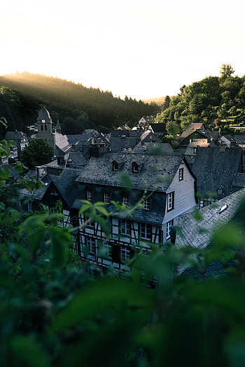 Cities, Trees, Architecture, Building, View From Above, Roof, Roofs HD phone wallpaper