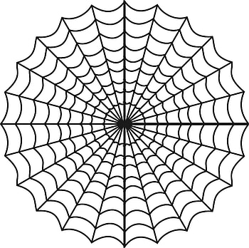 Spider Web Transparent Png HD wallpaper