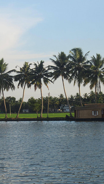 Kerala , High resolution , Visual delights, backgrounds HD phone wallpaper