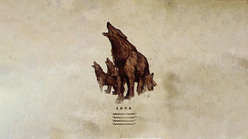 Lupa, video game, Fallout: New Vegas HD wallpaper