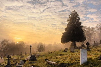 Misty sunrise over a Hampshire cemetery with gravestones and trees in the fog. HD wallpaper