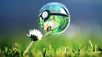 209 best about Gotta Catch Them All! on Pinterest | Pikachu . HD wallpaper