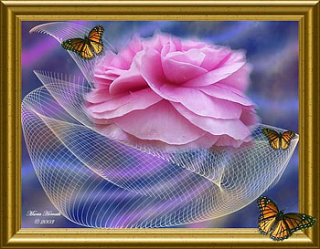 Grace & Elegance, warmth, sweetness, joy, grace, harmony HD wallpaper
