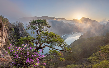 Sunrise in Mountains, river, flowers, mountains, rock, sunrise, tree HD wallpaper