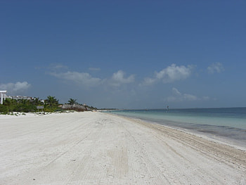 Race You to the Finish Line, white, sand, ocean, beach HD wallpaper