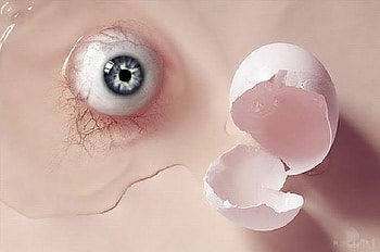 Egg, funny, amze, eye HD wallpaper