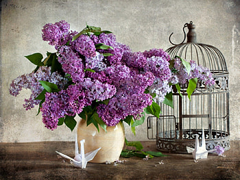 Still Life, lilacs, vase, nature, flowers, cage, lilac HD wallpaper