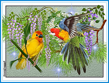 BIRD COLLAGE, COLLAGE, , ABSTRACT, BIRD HD wallpaper