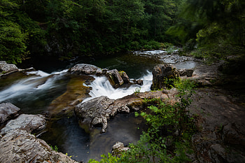 Plants, Nature, Water, Rocks, Waterfall, Forest HD wallpaper