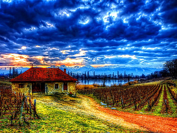 Vineyard in mountains, sea, vineyard, house, lake, cabin, summer, shore, clouds, nature, sky, cottage, mountains, water HD wallpaper