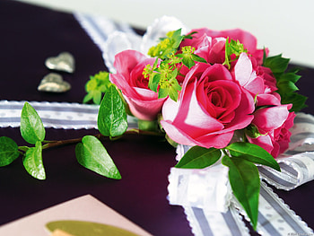 A gift from the heart, pink, beautiful, love HD wallpaper