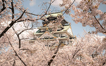 Osaka Castle, Travels, Media coverage, Travel inspiration HD wallpaper