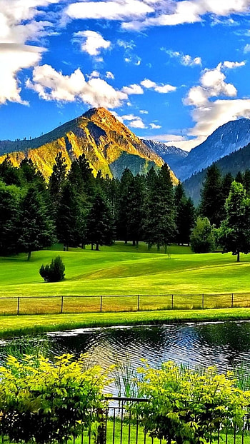 Beautiful For, Garden HD phone wallpaper