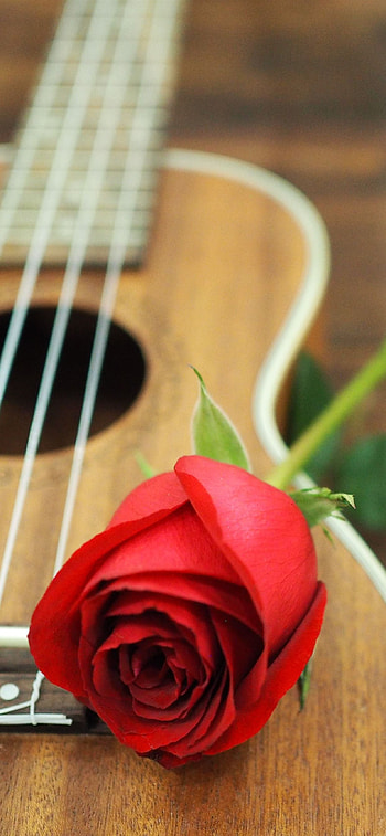 Striking visuals, Guitar treasures, Musical inspiration, Artistic elegance HD phone wallpaper