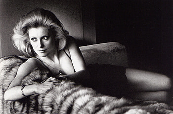 Catherine Deneuve, Dazzling HD wallpaper