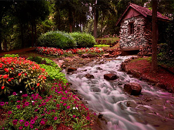 Cottage near the forest creek, creek, house, cabin, summer, red, nature, flowers, cottage, water, water stream, forest HD wallpaper