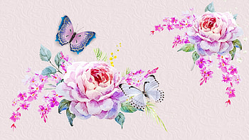 Peonies Pink, peonies, roses, butterfly, watercolor, garden, paint, flowers HD wallpaper