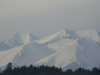 Rodopi, bulgaria, , snow, mountain HD wallpaper