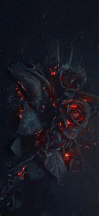Burn this love. Gothic , Black roses , Rose, Dark Red HD phone wallpaper
