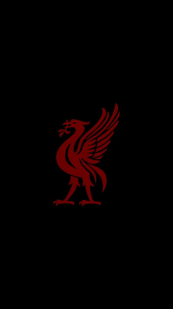 Liver bird, Liverpool FC HD phone wallpaper