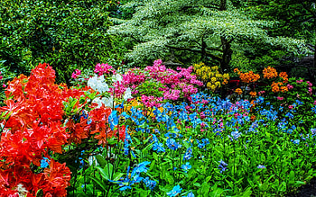 Butchart Gardens, Canada, plants, blossoms, colors, flowers, spring, park HD wallpaper
