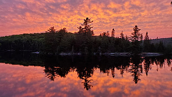 Pink Skies of Algonquin, Ontario, sky, water, canada, reflections, sunset, lake HD wallpaper