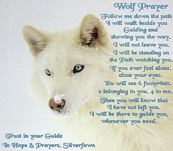 Wolf's Guide, animals, other, dogs, poem, wolf HD wallpaper