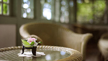 Flower, Miscellanea, Miscellaneous, Table, Room, Vase, Armchair, Napkin, Living Room, Situation, Weaving, Braiding HD wallpaper