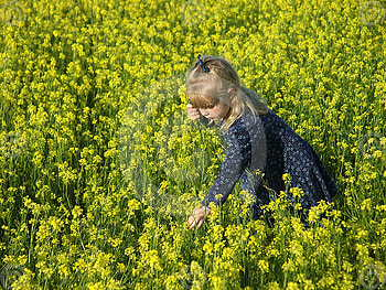 little girl picking flowers, girl, flowers, field, yellow HD wallpaper