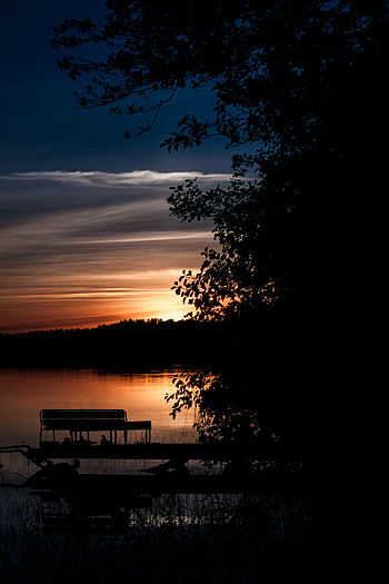 Nature, Sunset, Sky, Night, Wood, Tree, Evening HD phone wallpaper
