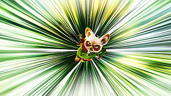 Master Shifu In Kung Fu Panda 4, kung-fu-panda-4, kung-fu-panda, movies, 2024-movies, animated-movies HD wallpaper