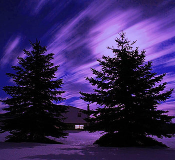 Winter sky, night, blue, colored, house, purple, light, snow, trees, sky, oink HD wallpaper