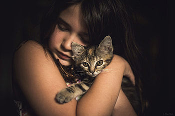 Cute Little Girl With Kitten, little-girl, cute, kitten, cat, animals HD wallpaper